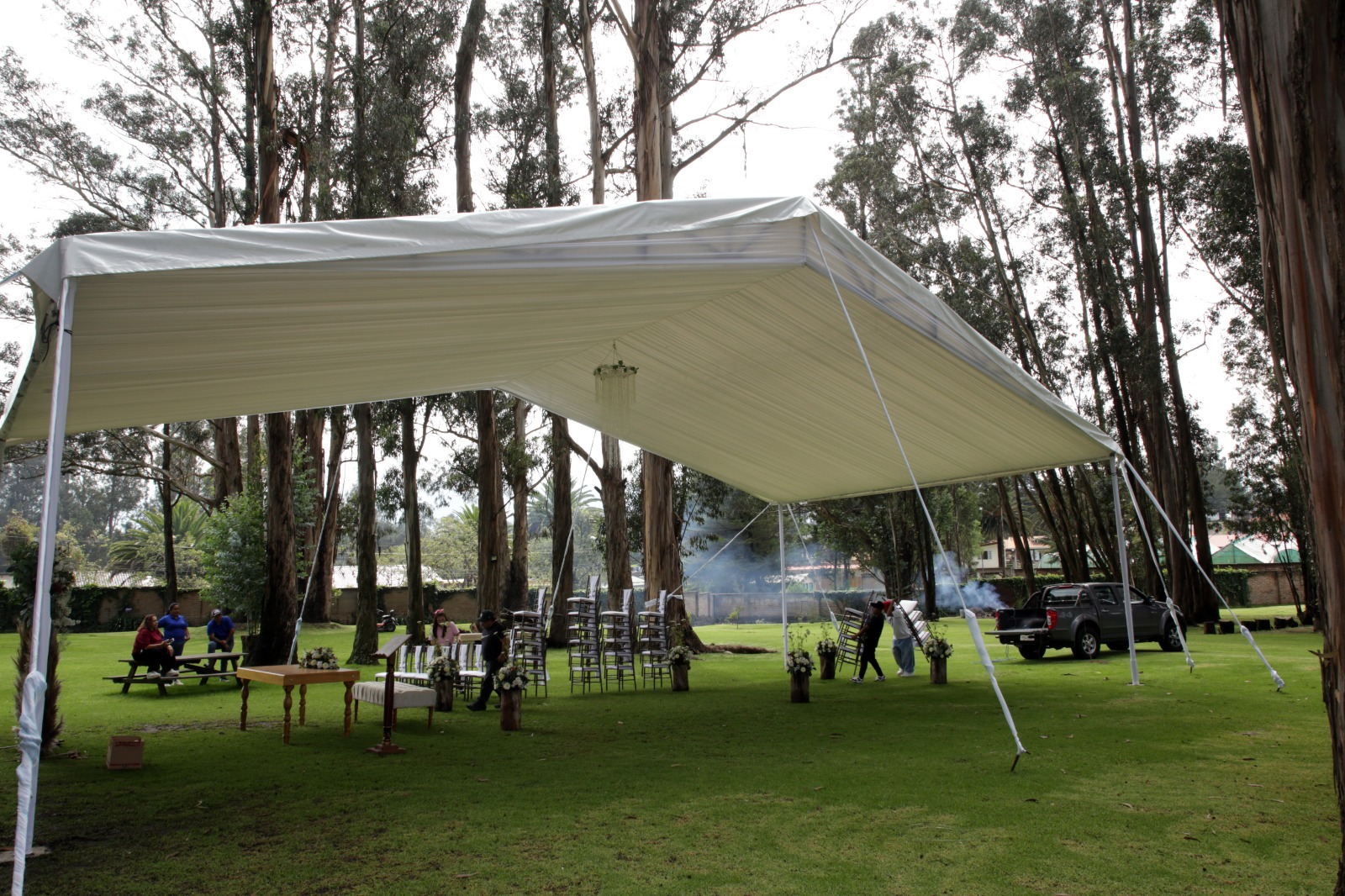 Carpa gigante en campo abierto