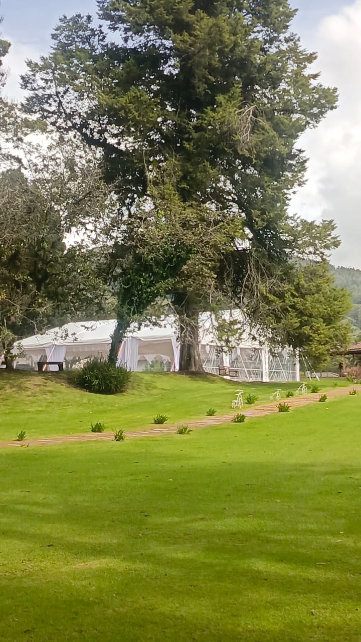 Instalación de carpa 5